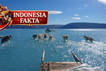 Greenland, Pulau Berselimut Es yang Jadi Titik Api dalam Politik Arktik