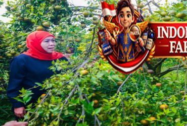 Khofifah Tegaskan Jatim Produsen Jeruk Terbesar Nasional