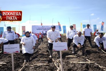 PT SGN Kebut Pencapaian Swasembada Gula Nasional
